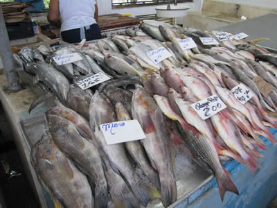 MERCADO DE MARISCOS, PANAMA